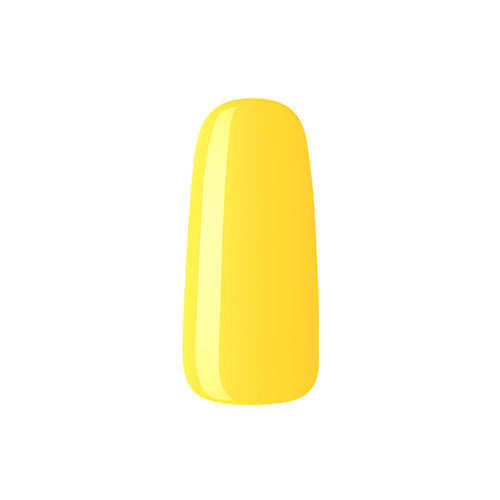 NU 95 Sunflower